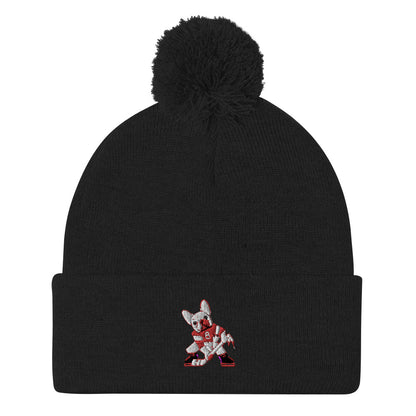 ZIGGY'S SPORTS CHIEF Pom-Pom Beanie