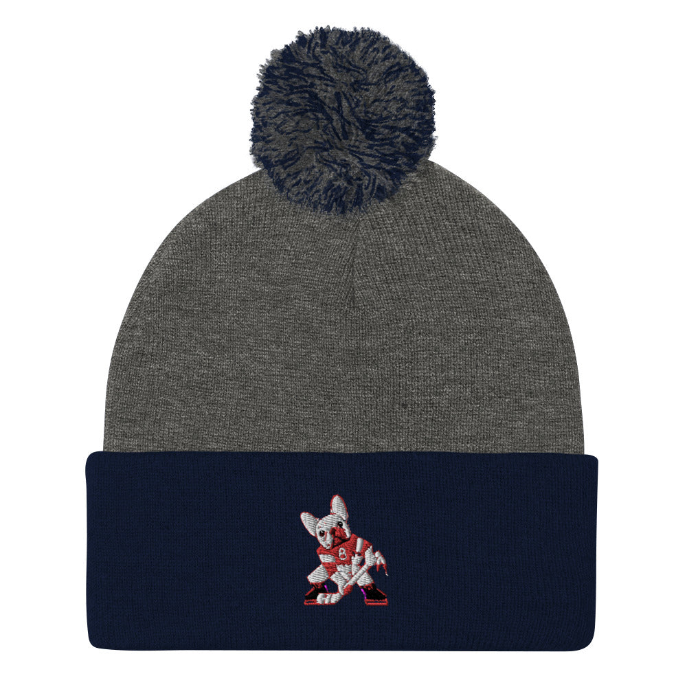 ZIGGY'S SPORTS CHIEF Pom-Pom Beanie