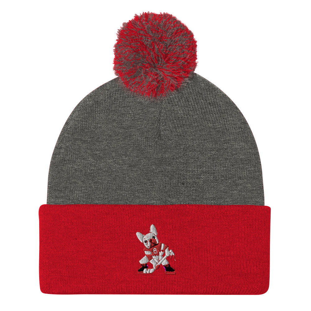 ZIGGY'S SPORTS CHIEF Pom-Pom Beanie