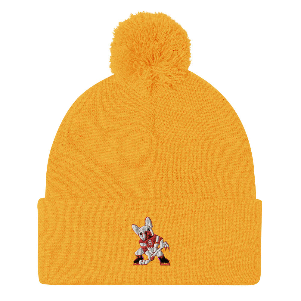 ZIGGY'S SPORTS CHIEF Pom-Pom Beanie