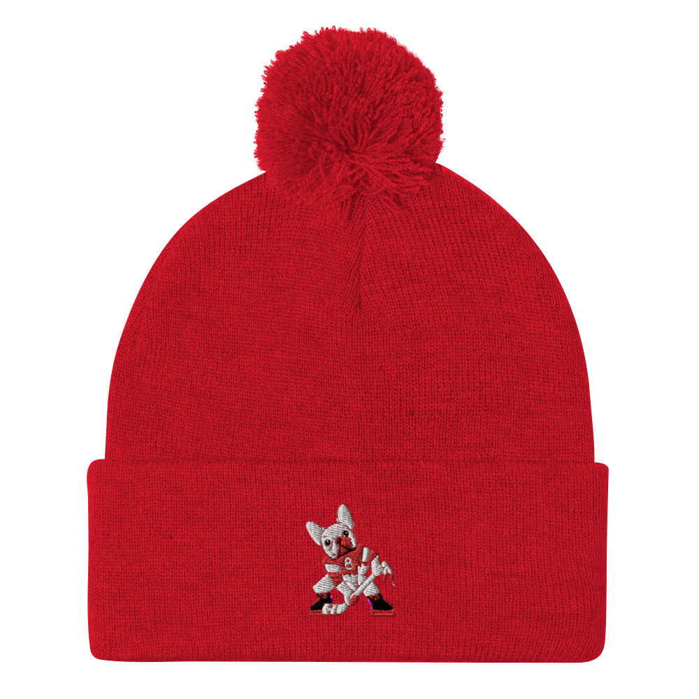 ZIGGY'S SPORTS CHIEF Pom-Pom Beanie